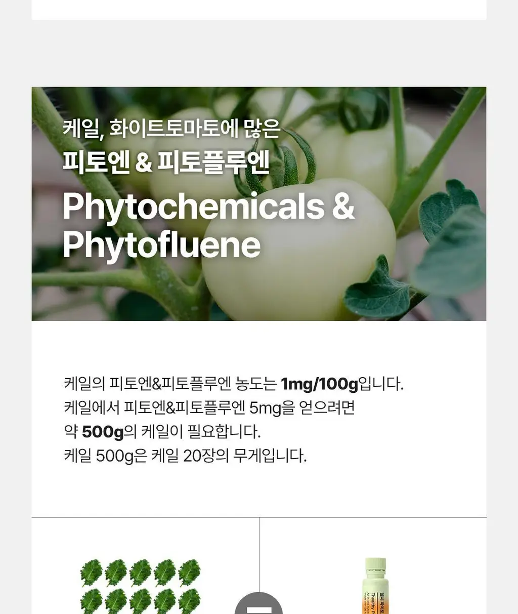 [OY단독] 델시 파이토 샐러드 앰플 4병 기획 (+1병 증정) (5일분) 상세페이지 64